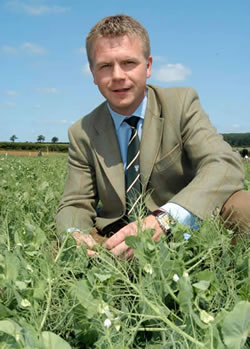 Winning the challenge of profitable pea agronomy Winning the challenge of profitable pea agronomy