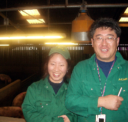 Japanese visit Yorkshire pig-breeding company Japanese visit Yorkshire pig-breeding company
