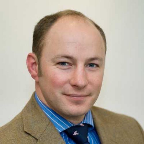 Plan now and make the most of the upturn says Savills Plan now and make the most of the upturn says Savills