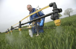 New fungicide being developed to meet the needs of UK cereal growers New fungicide being developed to meet the needs of UK cereal growers
