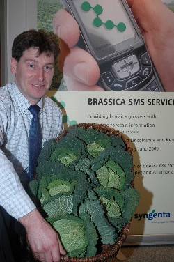 Brassica growers to get advance warning of disease Brassica growers to get advance warning of disease