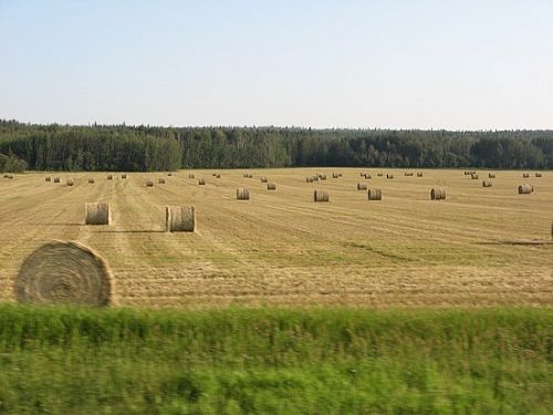 Farmland values break 6,000 GBP acre to hit new record high in England Farmland values break 6,000 GBP acre to hit new record high in England