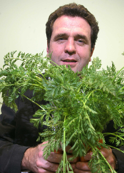 Tops for carrot disease control Tops for carrot disease control