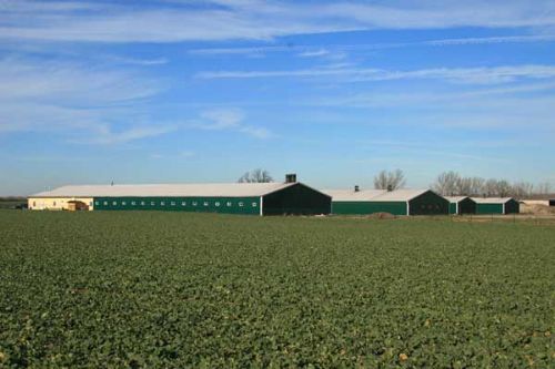 UK genetics and support win German franchise UK genetics and support win German franchise
