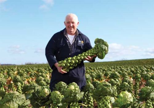 Morrisons to highlight provenance of Scottish food Morrisons to highlight provenance of Scottish food
