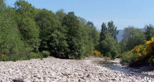 Act now in response to drought, warns Environment Agency Act now in response to drought, warns Environment Agency
