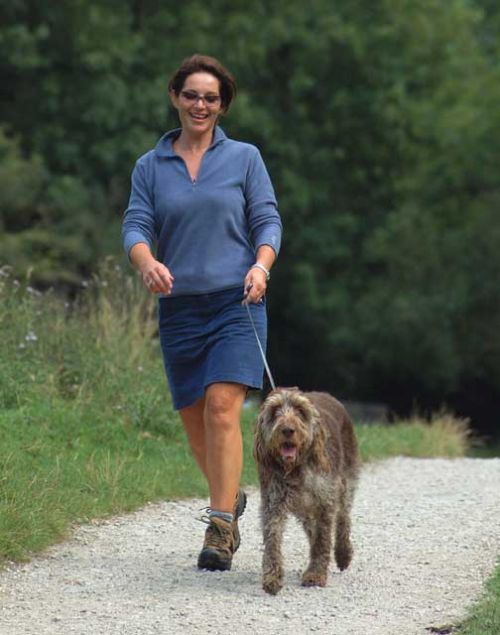 Peak district warns dog walkers ahead of spring season Peak district warns dog walkers ahead of spring season