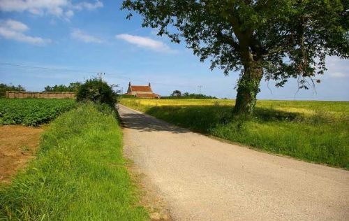Planning reform broadly welcomed by farming bodies Planning reform broadly welcomed by farming bodies