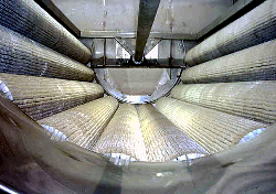 New technology polisher aimed at potato industry New technology polisher aimed at potato industry