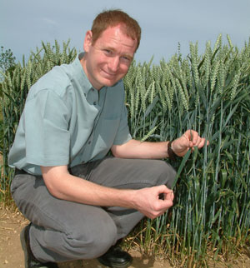 Triazole mix offers Septoria success Triazole mix offers Septoria success
