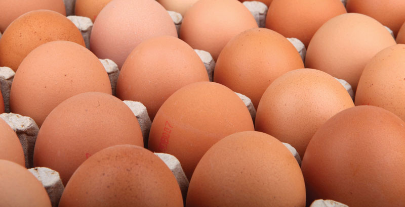 Spanish egg market in financial crisis Spanish egg market in financial crisis