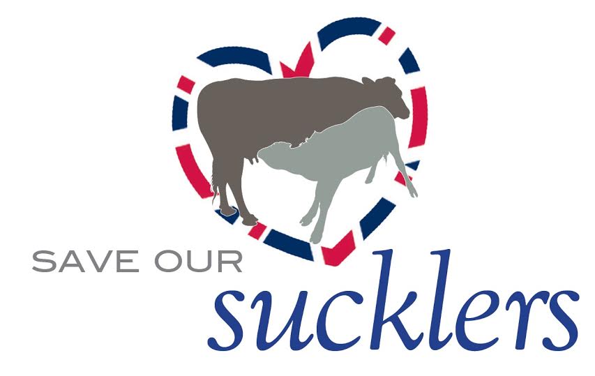 Major campaign launch to halt the decline of suckler beef herds Major campaign launch to halt the decline of suckler beef herds
