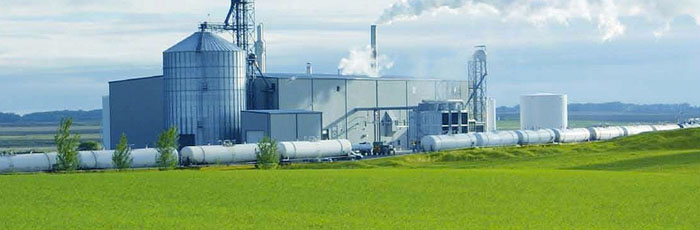 Bioenergy should be accelerated in the UK to deliver affordable low carbon energy options Bioenergy should be accelerated in the UK to deliver affordable low carbon energy options