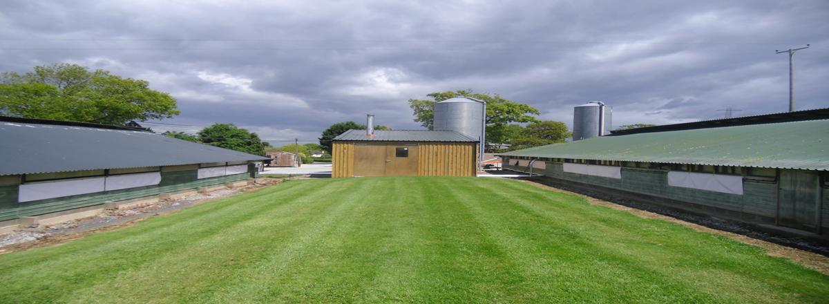Ulster Farmers' Union slams closure of Renewable Heat Incentive Scheme Ulster Farmers' Union slams closure of Renewable Heat Incentive Scheme