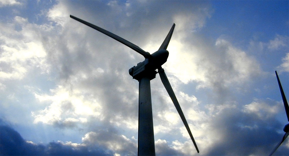 Passionate renewable energy farming advocates awarded for achievements Passionate renewable energy farming advocates awarded for achievements