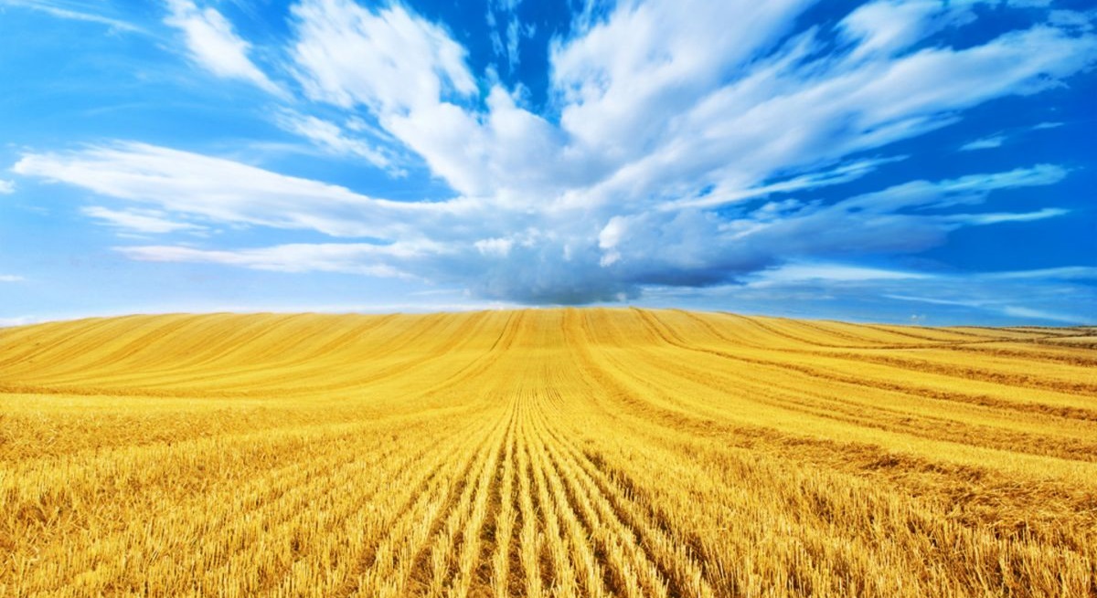 Calls for the EU to lead worldwide transition towards a renewable low-carbon economy Calls for the EU to lead worldwide transition towards a renewable low-carbon economy
