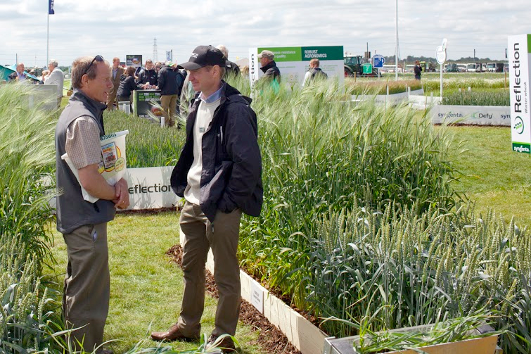 Cereals 2016: Crop plots reveal new varieties Cereals 2016: Crop plots reveal new varieties