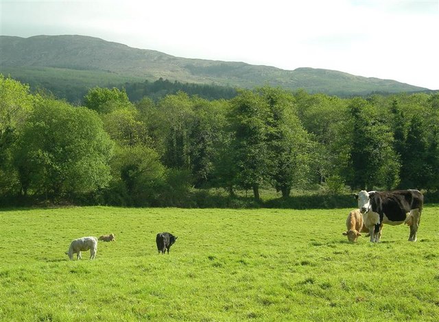 Tax tribunal: Grazing agreement owners must farm for Business Relief Tax tribunal: Grazing agreement owners must farm for Business Relief