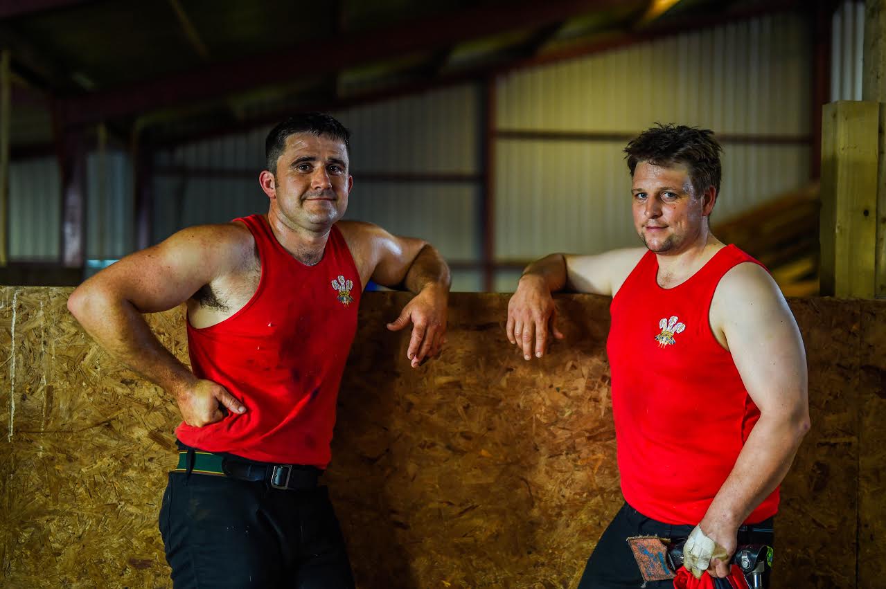 Welsh sheep shearing duo aim to shear as many lamb as possible in nine hours Welsh sheep shearing duo aim to shear as many lamb as possible in nine hours