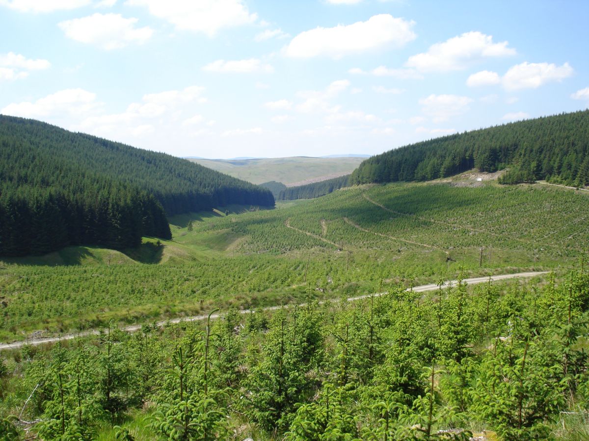 Trees on agricultural land 'have potential' to combat climate change Trees on agricultural land 'have potential' to combat climate change
