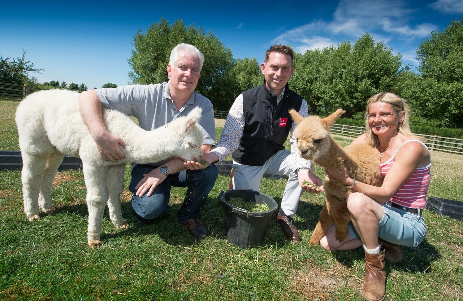 Alpaca business grows thanks to seven-figure funding from Clydesdale Bank Alpaca business grows thanks to seven-figure funding from Clydesdale Bank