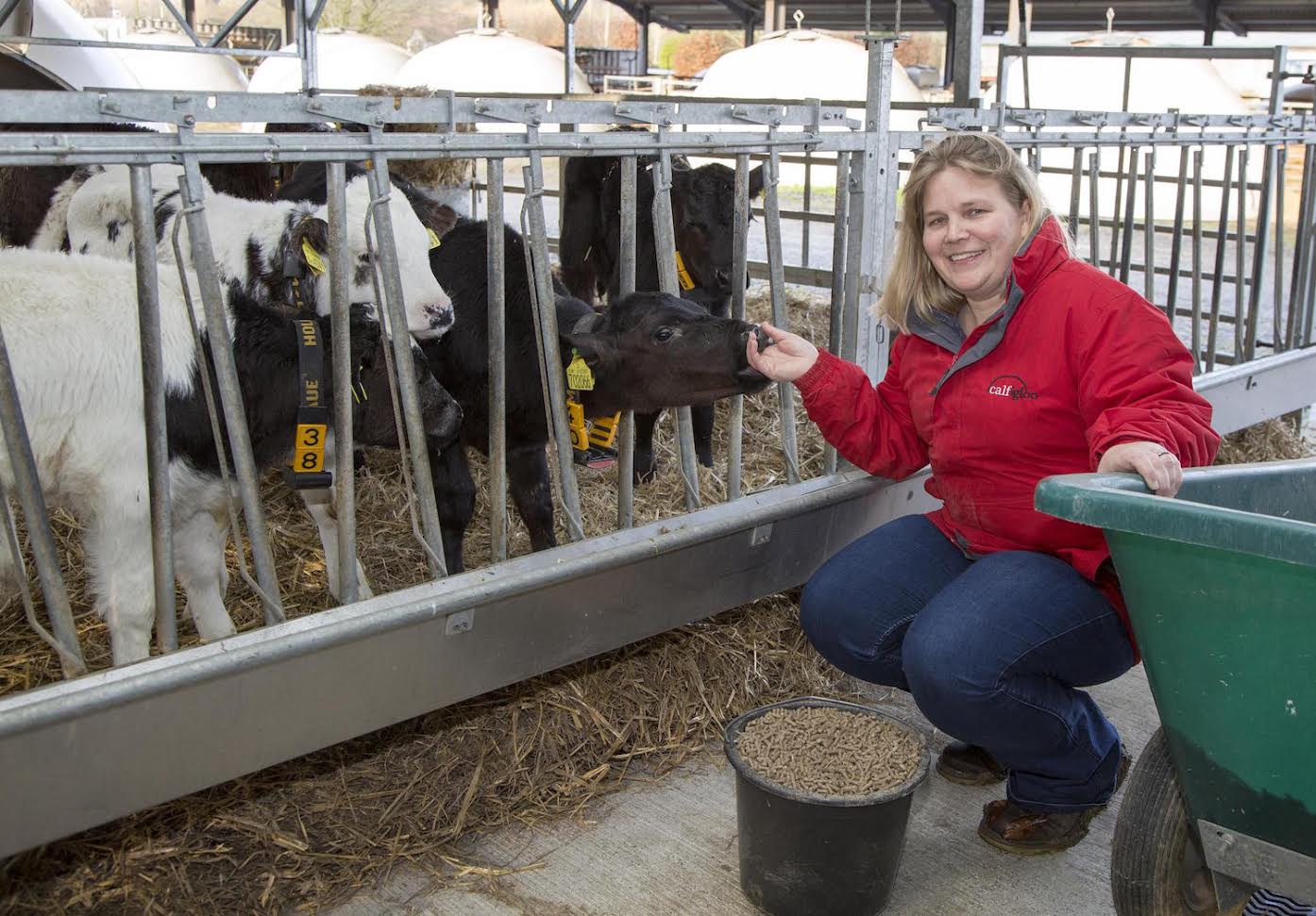Ingredient trial bring promising change to calf weaning diet Ingredient trial bring promising change to calf weaning diet