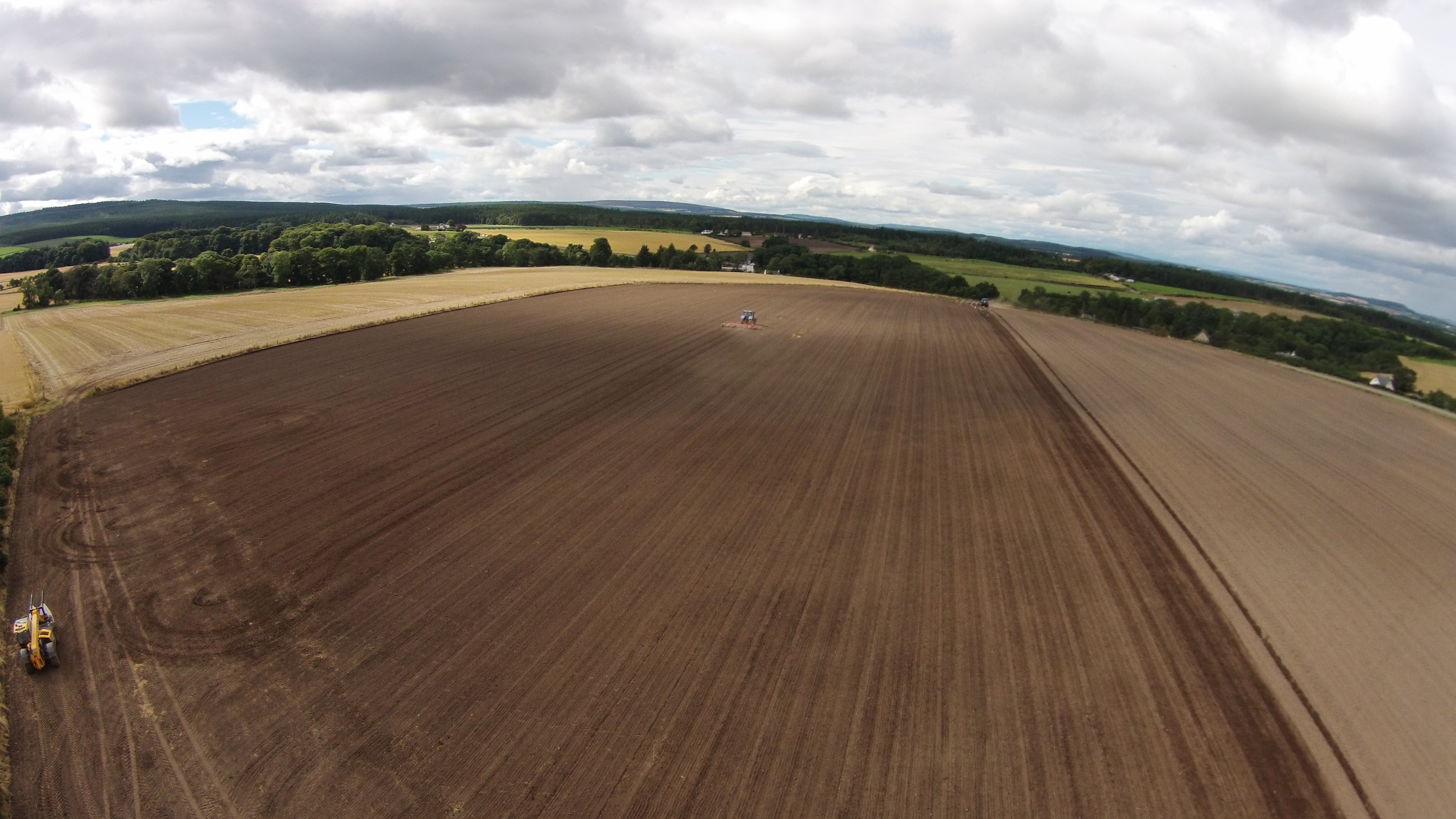 Scottish field scale trial shows SY Harnas top performing hybrid for the region Scottish field scale trial shows SY Harnas top performing hybrid for the region