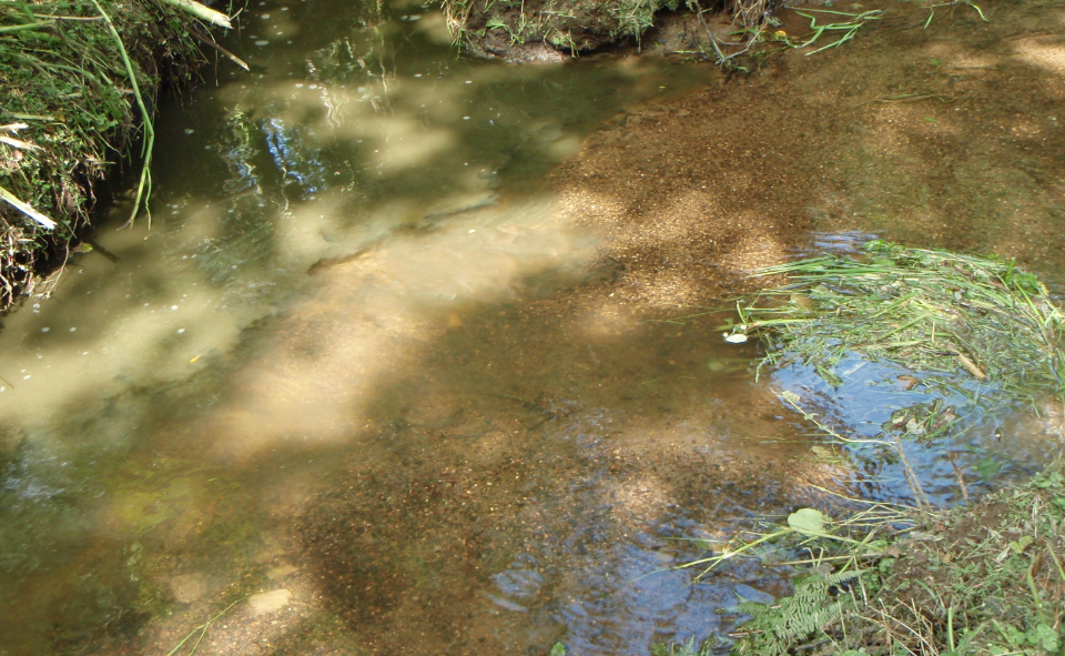 Farmer fined £9000 for polluting stream with slurry Farmer fined £9000 for polluting stream with slurry