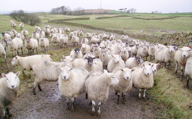 Deadline approaching for Monitor Farm applications Deadline approaching for Monitor Farm applications