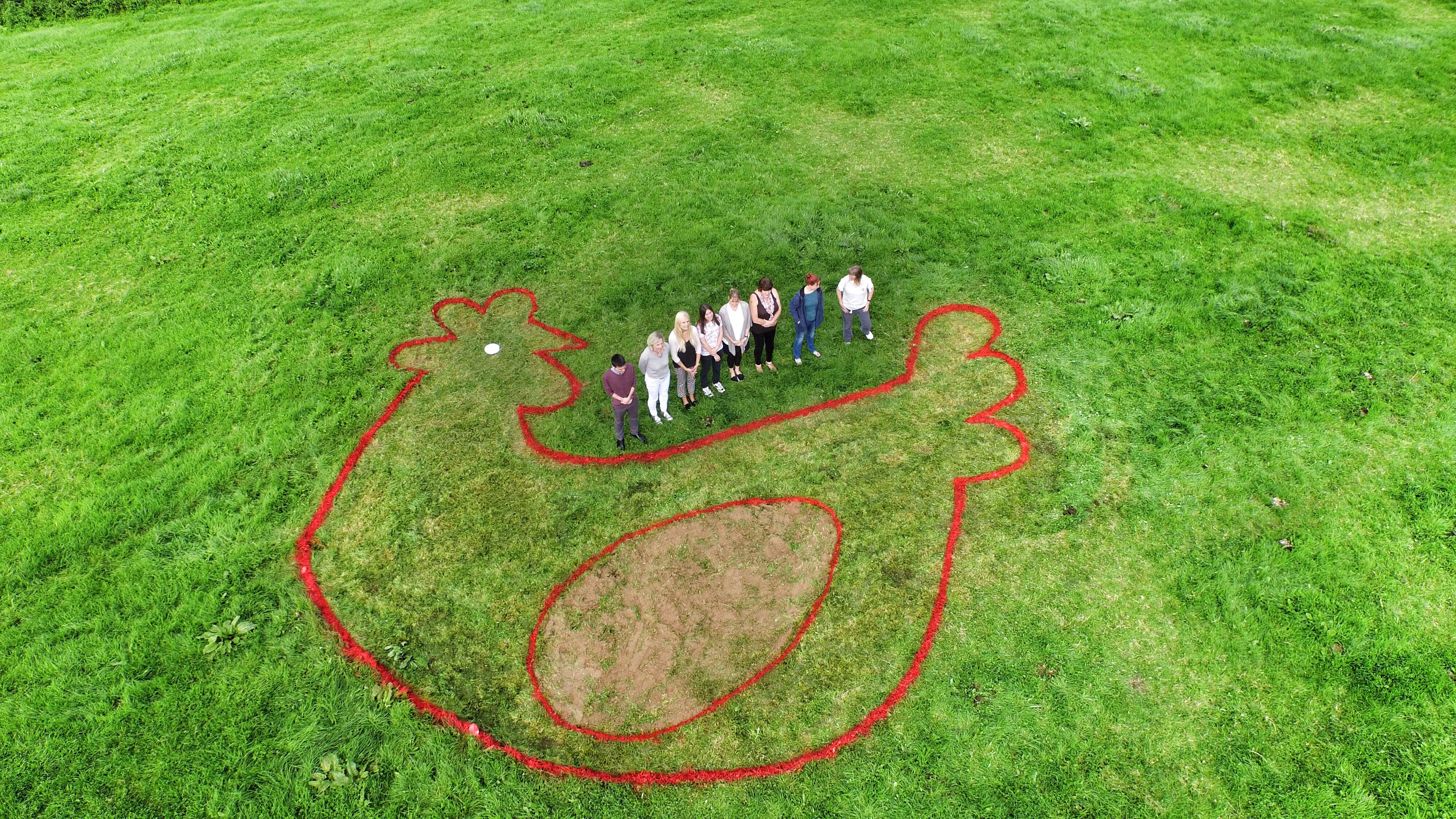 'Eggstra' large red hen hatches at Devon charity Hundreds of people have signed up to hold a Free Range Friday today