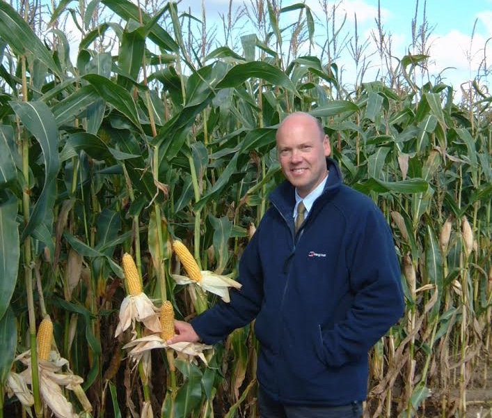 Attention to detail can add value to maize silage, says experts Attention to detail can add value to maize silage, says experts