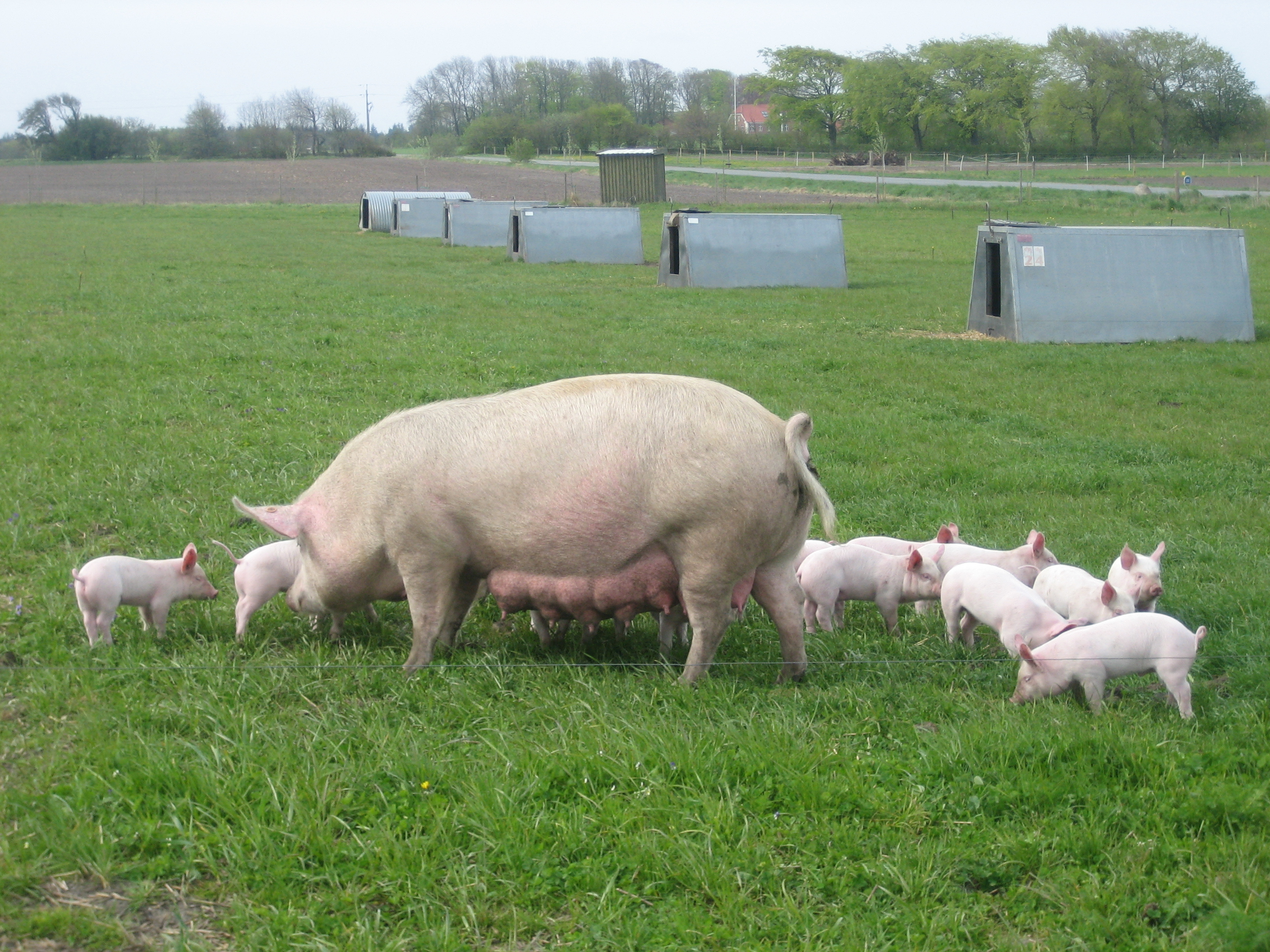 'Urgent need for greater ethical scrutiny of new methods to increase food production' 'Urgent need for greater ethical scrutiny of new methods to increase food production'