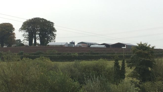 The accident happened at a farm in Coagh, County Tyrone