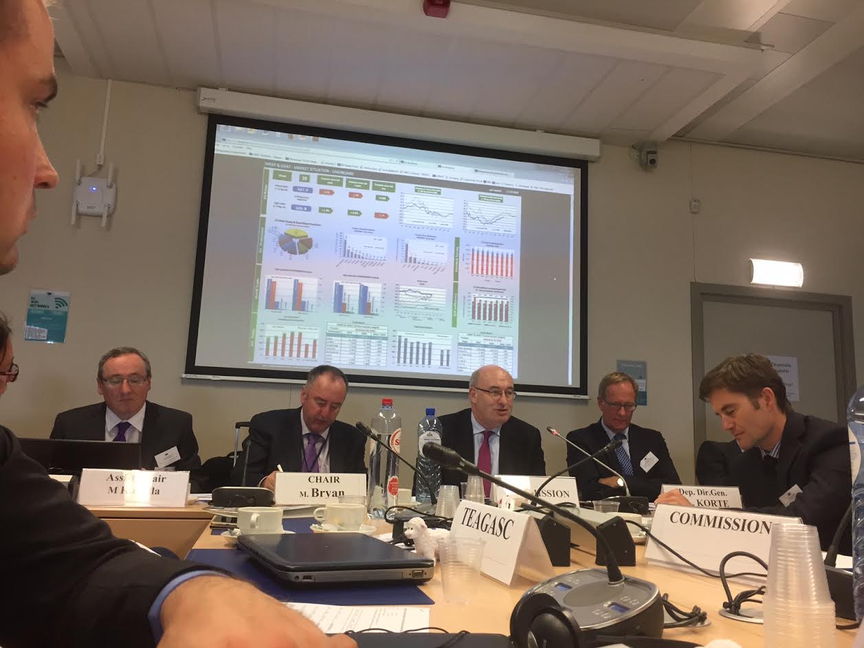 European Sheep Meat Forum explored ways to tackle sheep industry problems across the EU