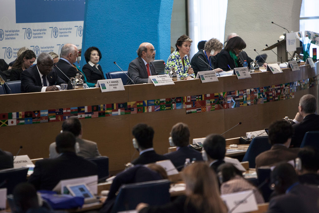 UN Committee on World Food Security meeting in Rome on Monday