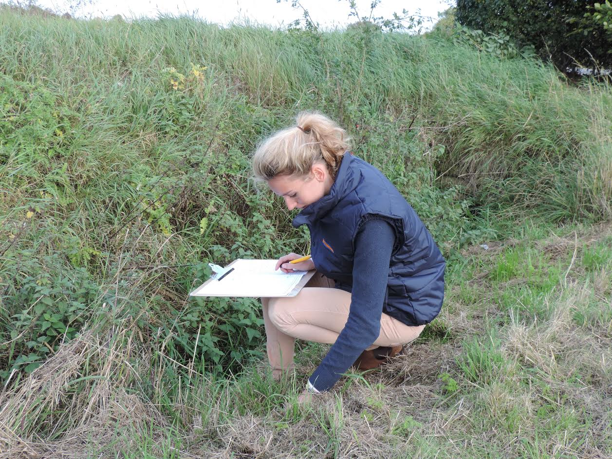 Surveying flora and fauna