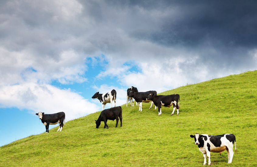 Agriculture scheme will give £40m to Northern Ireland farms Agriculture scheme will give £40m to Northern Ireland farms