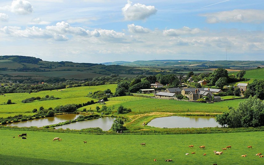 Carter Jonas has published research showing the rural market is exceeding expectations in the wake of the EU referendum results