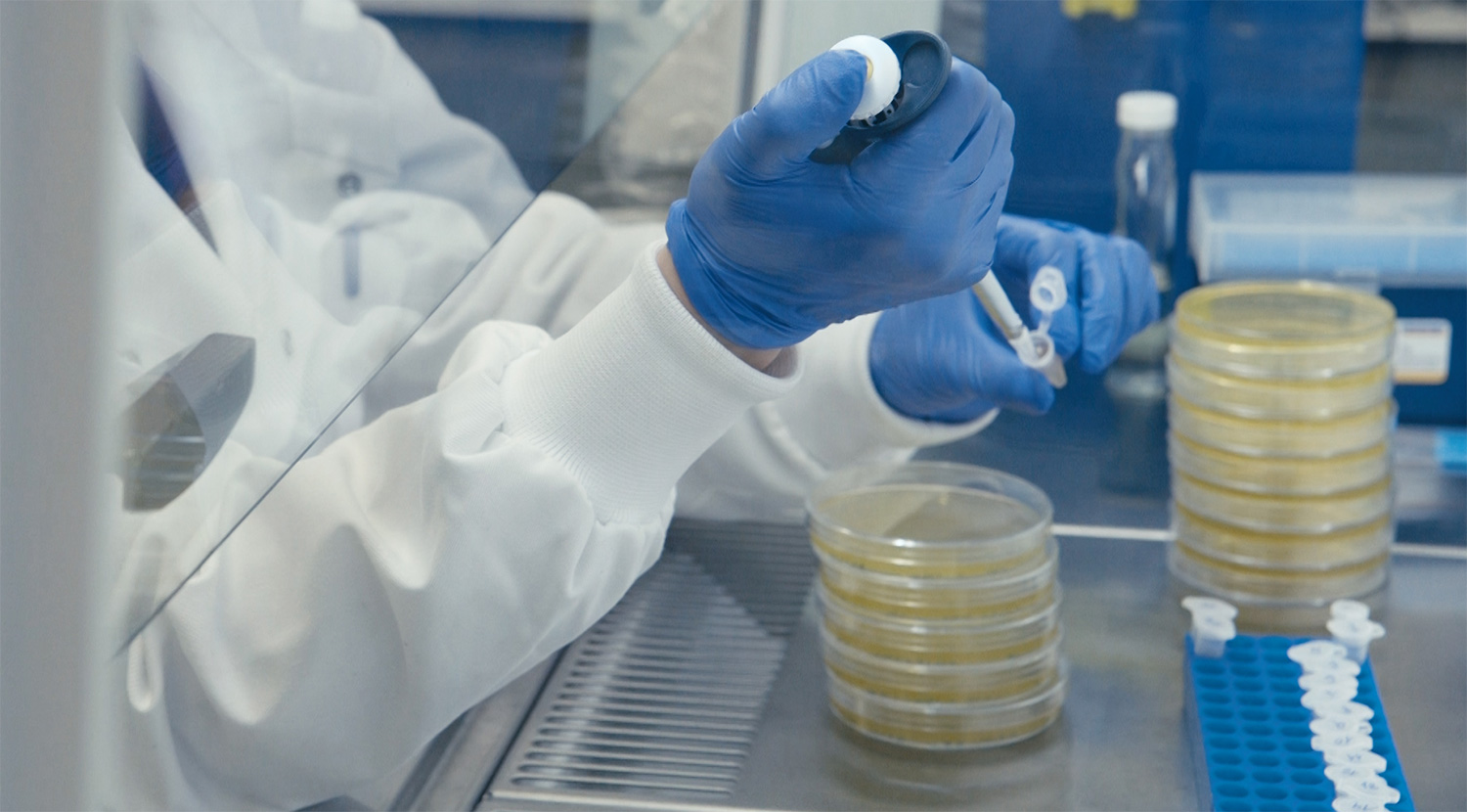 Grain company Gleadell announces partnership with Azotic to bring nitrogen-fixing technology to market Grain company Gleadell announces partnership with Azotic to bring nitrogen-fixing technology to market