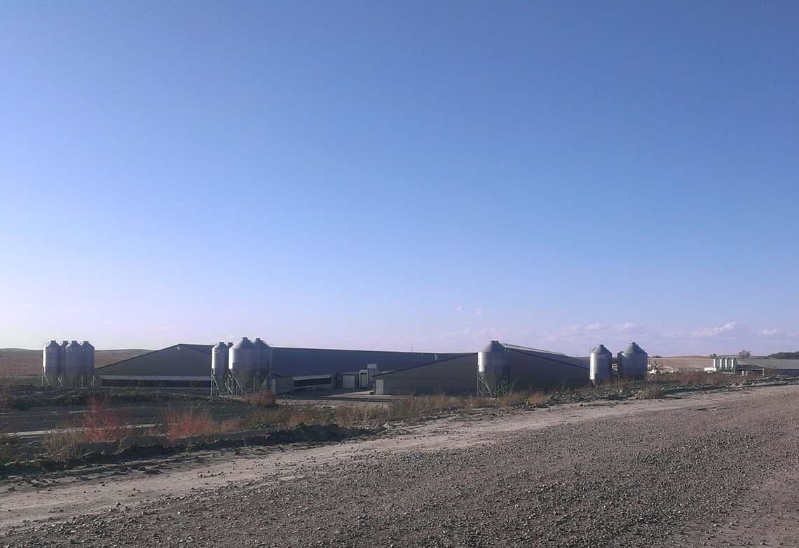 World class US-pig enterprise invests in British technology World class US-pig enterprise invests in British technology