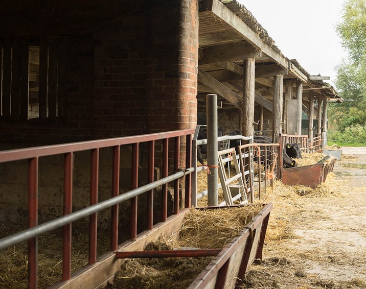 Field lab cuts antibiotic use on organic dairy farm by 24 per cent, saving farmers money and milk Field lab cuts antibiotic use on organic dairy farm by 24 per cent, saving farmers money and milk