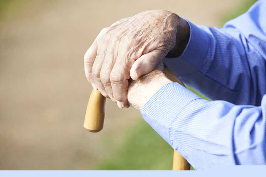 'Care farming' company wins £290,000 to continue providing rural communities mental health support 'Care farming' company wins £290,000 to continue providing rural communities mental health support