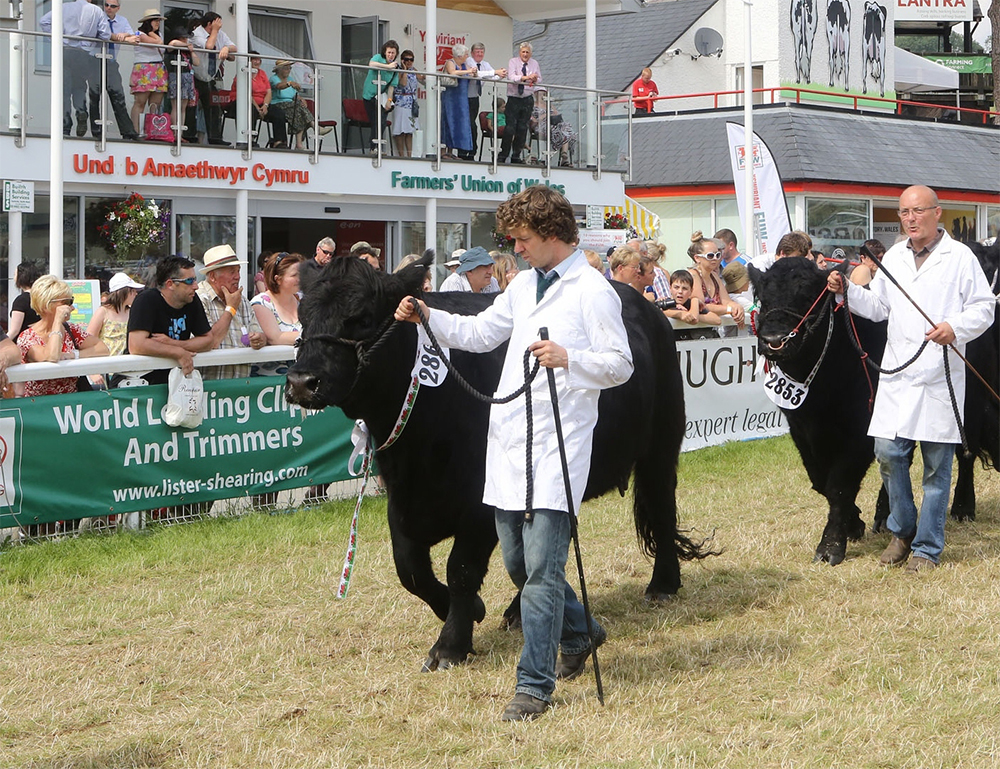 Quarantine Units to be postponed until September Quarantine Units to be postponed until September