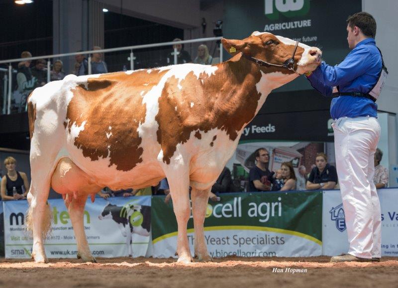 Meet your judges: Fantastic line-up announced for UK Dairy Day Meet your judges: Fantastic line-up announced for UK Dairy Day