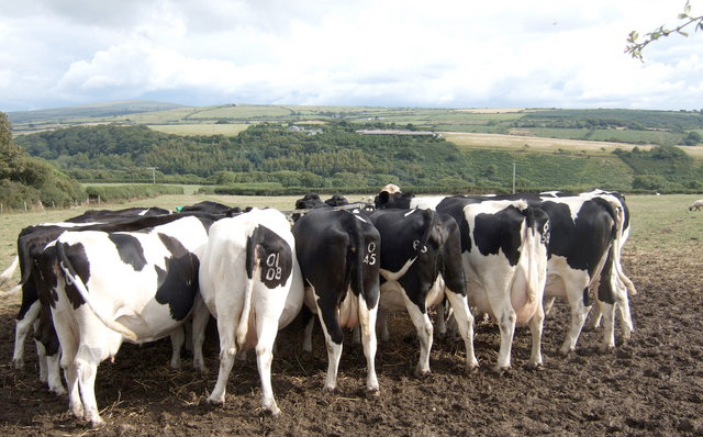 Global dairy trade expected to show growth in 2017 Global dairy trade expected to show growth in 2017