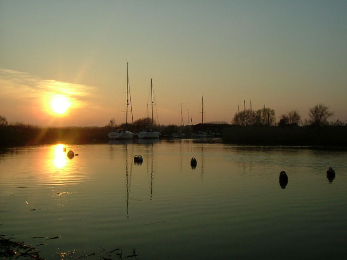 Somerset farmer ordered to pay £22k for killing 1,700 fish Somerset farmer ordered to pay £22k for killing 1,700 fish