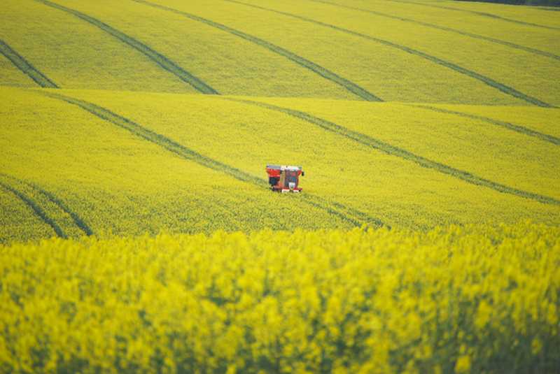 Meeting warns of 'irrevocable impact' on crops without use of neonicotinoids Meeting warns of 'irrevocable impact' on crops without use of neonicotinoids