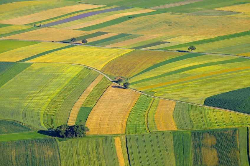 UK farmland prices 'levelling out' after years of decline, figures show UK farmland prices 'levelling out' after years of decline, figures show