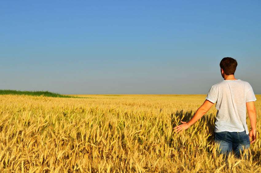 Young people's ideas are needed to harness technologies that can make farming an up-to-date industry