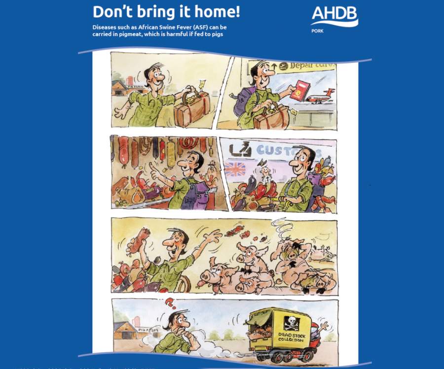 "Don't bring it home!" Pig industry warns public about African Swine Fever "Don't bring it home!" Pig industry warns public about African Swine Fever